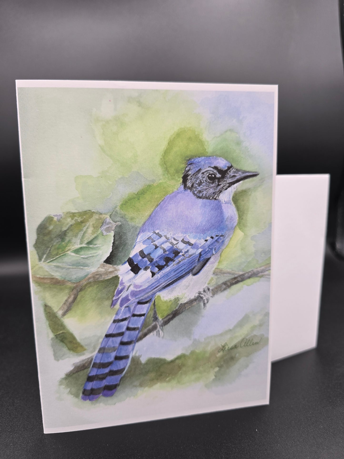 Baby Blue Jay Greeting Card