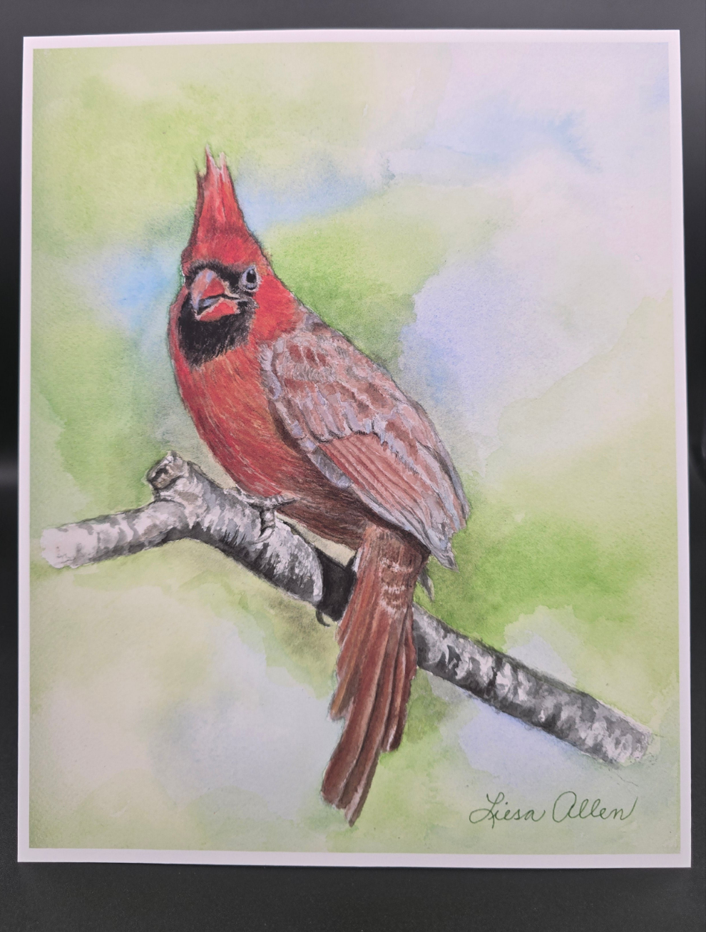 Cardinal #1 Print