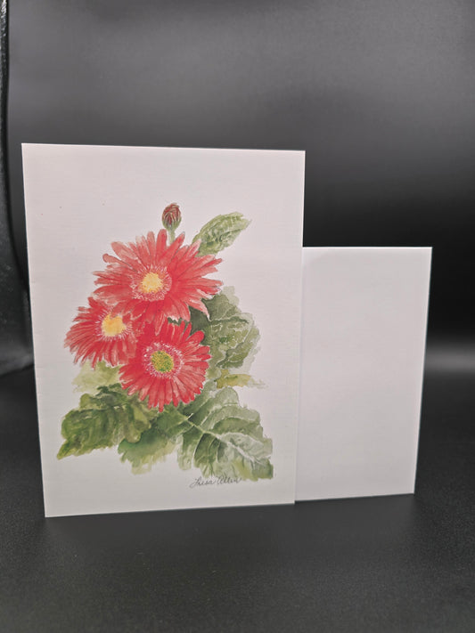 Barberton Daisy Greeting Card